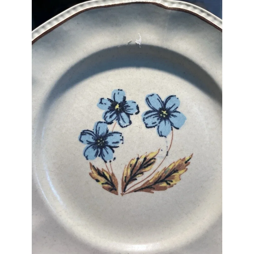 Vintage Kensington Staffordshire Ironstone Dinnerware Set Hyde Park